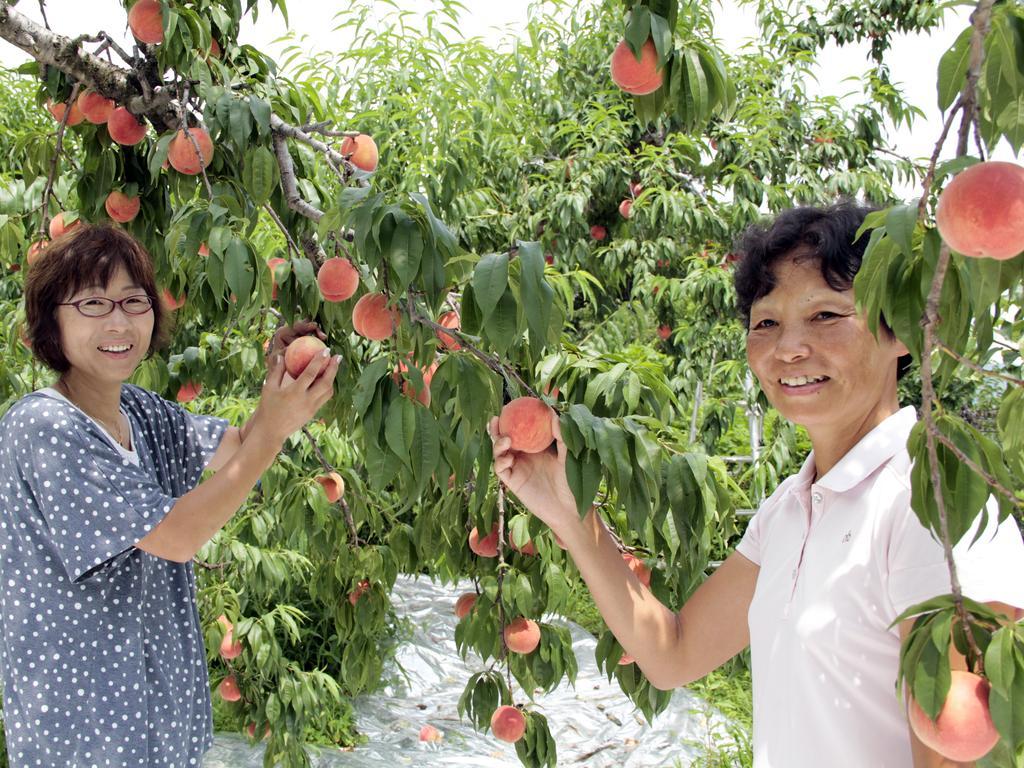 호텔 그린 마크 센다이 시 외부 사진